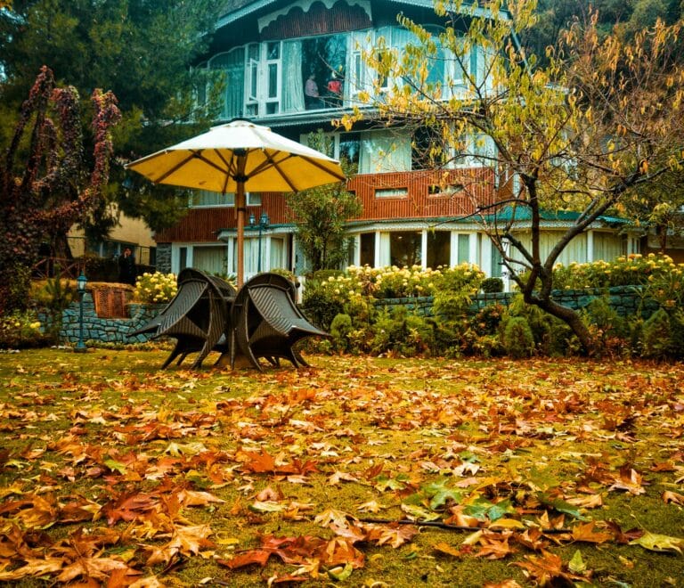 Kashmir 5 Nights / 6 Days Tour Package